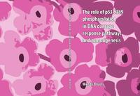 The role of p53.S389 phosphorylation in DNA damage response pathways and tumorigenesis