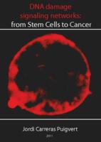 DNA damage signaling networks: from stem cells to cancer