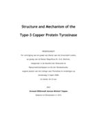 Structure and Mechanism of the Type-3 Copper Protein Tyrosinase