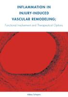 Inflammation in injury-induced vascular remodelling :  functional involvement and therapeutical options