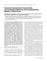 Flavonoids synthesized in cortical cells during nodule initiation are early developmental markers in white clover