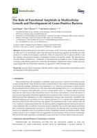 The Role of Functional Amyloids in Multicellular Growth and Development of Gram-Positive Bacteria