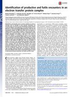 Identification of productive and futile encounters in an electron transfer protein complex