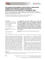 The pathway intermediate 2-keto-3-deoxy-L-galactonate mediates the induction of genes involved in D-galacturonic acid utilization in Aspergillus niger