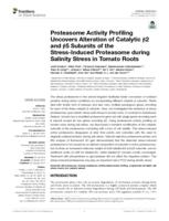 Proteasome Activity Profiling Uncovers Alteration of Catalytic beta 2 and beta 5 Subunits of the Stress-Induced Proteasome during Salinity Stress in Tomato Roots