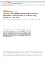 Dynamics of lineage commitment revealed by single-cell transcriptions of differentiating embryonic stem cells