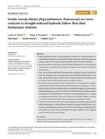 Insular woody daisies (Argyranthemum, Asteraceae) are more resistant to drought-induced hydraulic failure than their herbaceous relatives