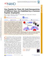 One Peptide for Them All: Gold Nanoparticles of Different Sizes Are Stabilized by a Common Peptide Amphiphile