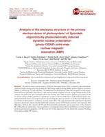 Analysis of the electronic structure of the primary electron donor of photosystem I of Spirodela oligorrhiza by photo-CIDNP solid-state NMR