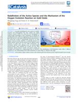 Redefinition of the active species and the mechanism of the oxygen evolution reaction on gold oxide