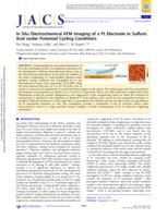 In situ electrochemical AFM imaging of Pt electrode in sulfuric acid under potential cycling conditions