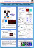 Characterization of the Low-Mass Companion HD 142527 B