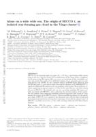 Alone on a wide wide sea. The origin of SECCO 1, an isolated star-forming gas cloud in the Virgo cluster*