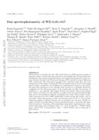 Fast spectrophotometry of WD 1145+017