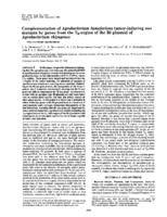 Complementation of Agrobacterium tumefaciens tumor-inducing aux mutants by genes from the T_R-region of the Ri plasmid of Agrobacterium rhizogenes