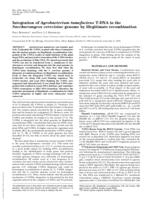 Integration of Agrobacterium tumefaciens T-DNA in the Saccharomyces cerevisiae genome by illegitimate recombination