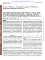 Squalene-Adenosine Nanoparticles: Ligands of Adenosine Receptors or Adenosine Prodrug?