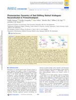 Photoreaction Dynamics of Red-Shifting Retinal Analogues Reconstituted in Proteorhodopsin