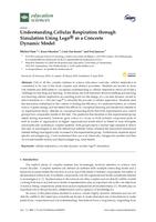 Understanding Cellular Respiration through Simulation Using Lego® as a Concrete Dynamic Model