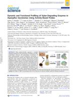 Dynamic and functional profiling of Xylan-degrading enzymes in aspergillus secretomes using activity-based probes