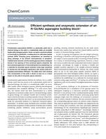 Efficient synthesis and enzymatic extension of an N-GlcNAz asparagine building block