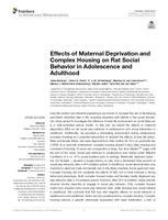 Effects of maternal deprivation and complex housing on rat social behavior in adolescence and adulthood