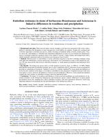 Embolism resistance in stems of herbaceous Brassicaceae and Asteraceae is linked to differences in woodiness and precipitation