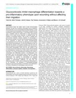 Glucocorticoids inhibit macrophage differentiation towards a pro-inflammatory phenotype upon wounding without affecting their migration