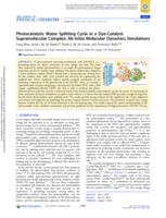 Photocatalytic Water Splitting Cycle in a Dye-Catalyst Supramolecular Complex: Ab Initio Molecular Dynamics Simulations