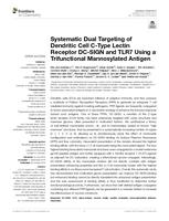 Systematic Dual Targeting of Dendritic Cell C-Type Lectin Receptor DC-SIGN and TLR7 Using a Trifunctional Mannosylated Antigen