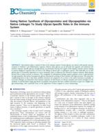 Going Native: Synthesis of Glycoproteins and Glycopeptides via Native Linkages To Study Glycan-Specific Roles in the Immune System