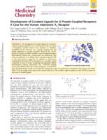 Development of Covalent Ligands for G Protein-Coupled Receptors: A Case for the Human Adenosine A3 Receptor