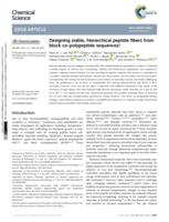 Designing stable, hierarchical peptide fibers from block co-polypeptide sequences