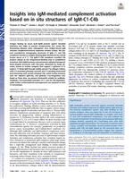 Insights into IgM-mediated complement activation based on in situ structures of IgM-C1-C4b