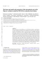 The large- and small-scale properties of the intergalactic gas in the Slug Ly α nebula revealed by MUSE He II emission observations