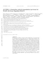 ACCESS: a featureless optical transmission spectrum for WASP-19b from Magellan/IMACS