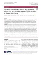 Efficient marker free CRISPR/Cas9 genome editing for functional analysis of gene families in filamentous fungi