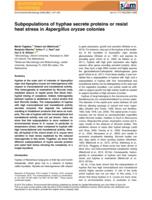 Subpopulations of hyphae secrete proteins or resist heat stress in Aspergillus oryzae colonies