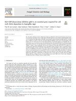 Rab GDP-dissociation inhibitor gdiA is an essential gene required for cell wall chitin deposition in aspergillus niger