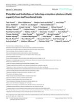 Potential and limitations of inferring ecosystem photosynthetic capacity from leaf functional traits