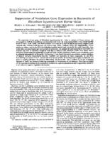 Suppression of nodulation gene expression in bacteroids of Rhizobium leguminosarum biovar viciae