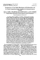 Architecture of the outer membrane of Escherichia coli III. Protein-Lipopolysaccharide complexes in intramembraneous particles