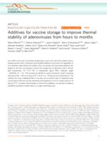 Additives for vaccine storage to improve thermal stability of adenoviruses from hours to months