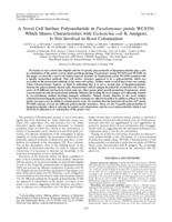 A novel cell surface polysaccharide in Pseudomonas putida WCS358, which shares characteristics with Escherichia coli K antigens, is not involved in root colonization