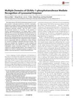 Multiple Domains of GlcNAc-1-phosphotransferase Mediate Recognition of Lysosomal Enzymes