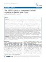 The SLEEPER genes: a transposase-derived angiosperm-specific gene family