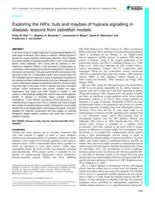 Exploring the HIFs, buts and maybes of hypoxia signalling in disease: lessons from zebrafish models