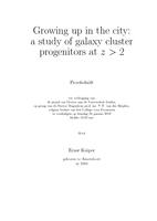Growing up in the city : a study of galaxy cluster progenitors at z>2
