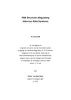 RNA structures regulating nidovirus RNA synthesis