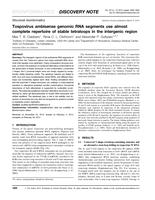 Tospovirus ambisense genomic RNA segments use almost complete repertoire of stable tetraloops in the intergenic region